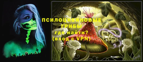 ПСИЛОЦИБИНОВЫЕ ГРИБЫ Балабаново