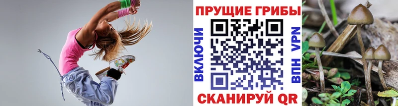 Псилоцибиновые грибы Cubensis  что такое   гидра маркетплейс  Баксан 